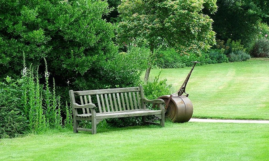 Деревянная скамейка на газоне