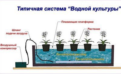 Конструкция гидропонной установки