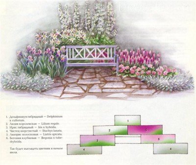 Клумба с лилиями в розово-сиреневой гамме