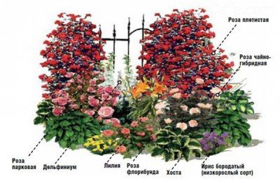 Оригинальный цветник с лилиями и розами