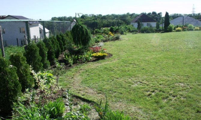 Английский сад на дачном участке