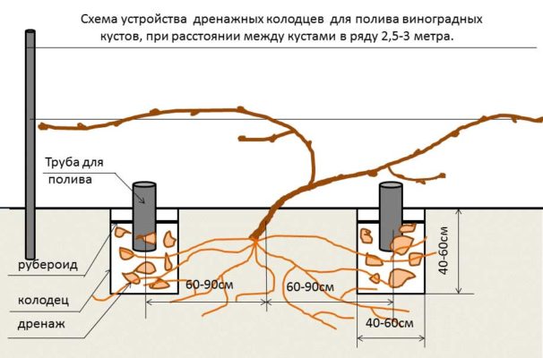 Схема дренажного полива