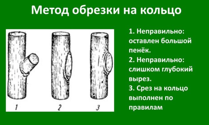 Схема обрезки на кольцо