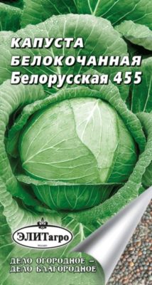 Капуста сорта Белорусская 455