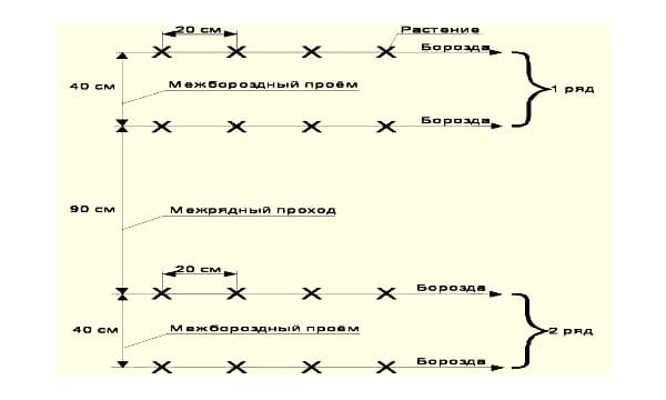 Ленточная схема