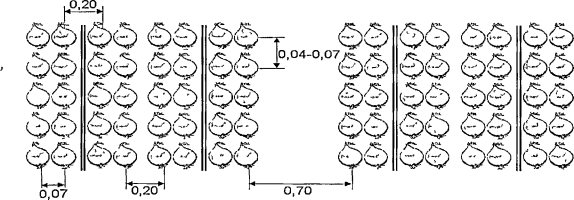 Схема посадки лука севка