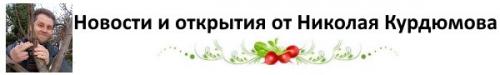 Анемона де каен посадка и уход в открытом грунте. Посадка анемоны в открытый грунт