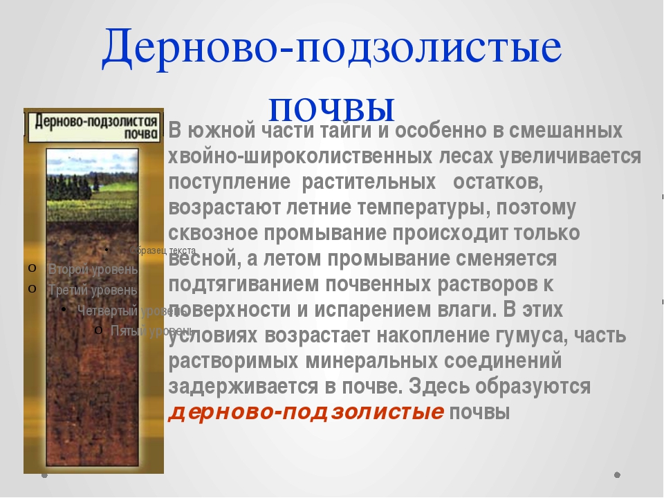 Дерново подзолистые почвы территория. Дерново-подзолистые почвы в России. Великобритания дерново-подзолистые почвы. Дерново-подзолистые почвы климатические условия. Дерново-подзолистые почвы растительность.