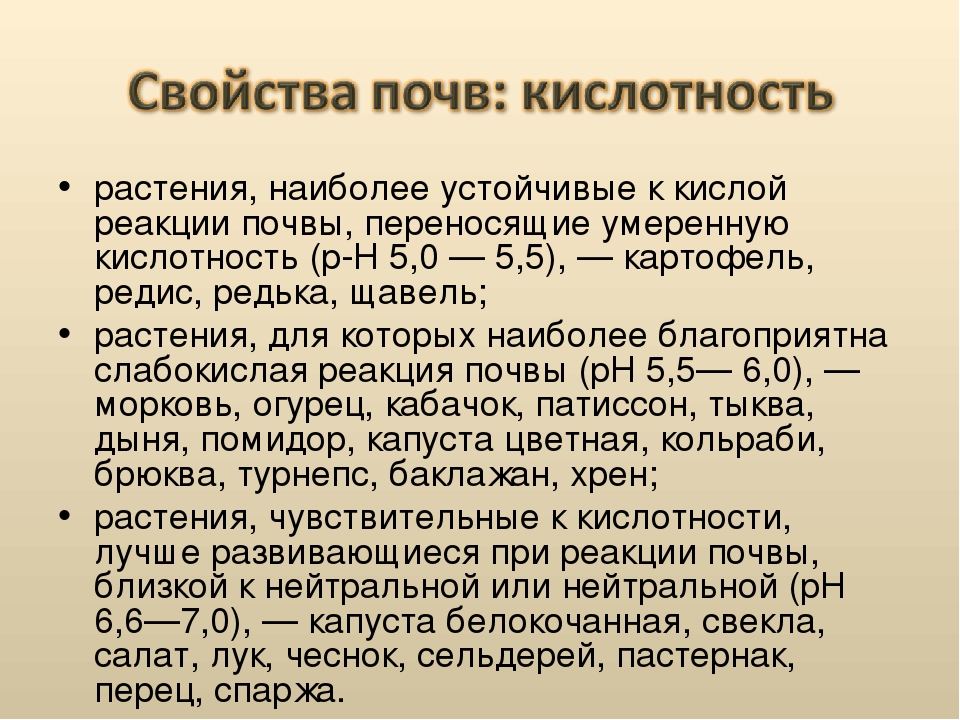 Кислотность картофеля