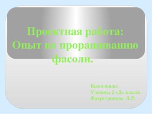 Проектная работа: Опыт по проращиванию фасоли. Выполнила: Ученица 2 «Д» класс