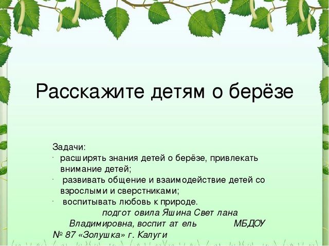 Расскажите детям о берёзе Задачи: расширять знания детей о берёзе, привлекать...