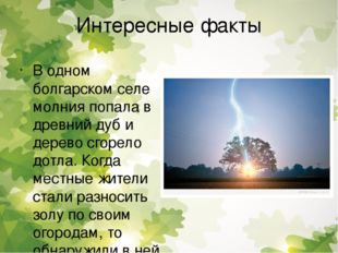 Интересные факты В одном болгарском селе молния попала в древний дуб и дерево