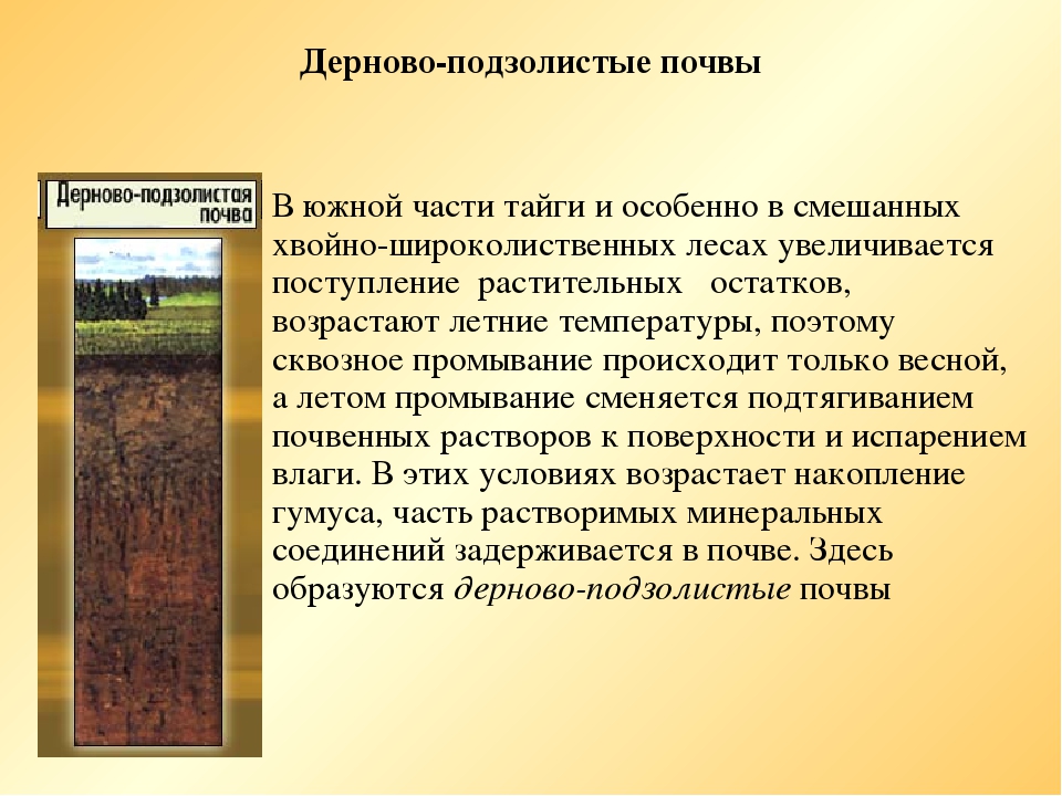 Какие почвы формируются. Дерново-подзолистые почвы зоны России. Дерново-подзолистые почвы таблица. Дерново-подзолистые почвы лес. 8 Класс почвы России дерново-подзолистые.