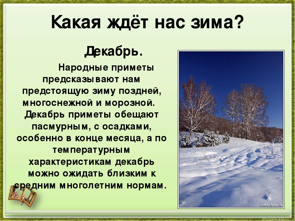 Характеристика декабрь. Приметы декабря. Приметы зимы на декабрь. Приметы декабря для детей. Декабрь приметы месяца.