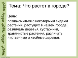 Тема: Что растет в городе? Цель: познакомиться с некоторыми видами растений,