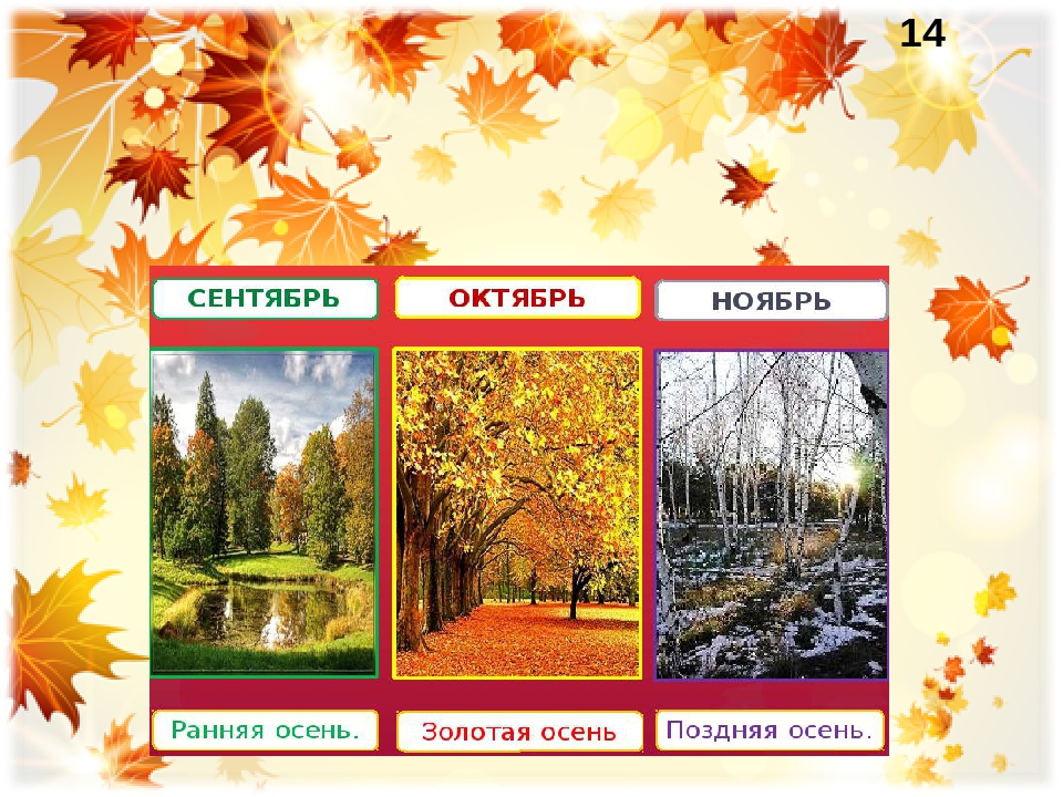 Октябрь месяц 2017 года. Календарь природы осень. Осенние месяцы. Осенние месяцы для детей. Календарь осенних месяцев.