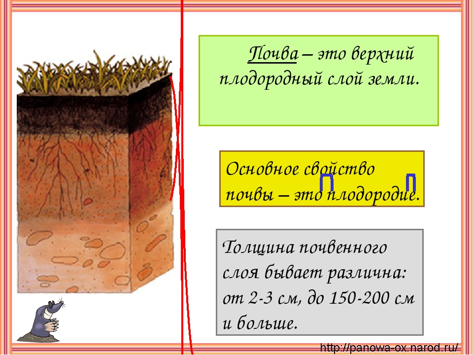 Верхний слой земли. Плодородный слой почвы. Слои почвы 3 класс. Почва это верхний плодородный слой земли. Главный слой почвы.