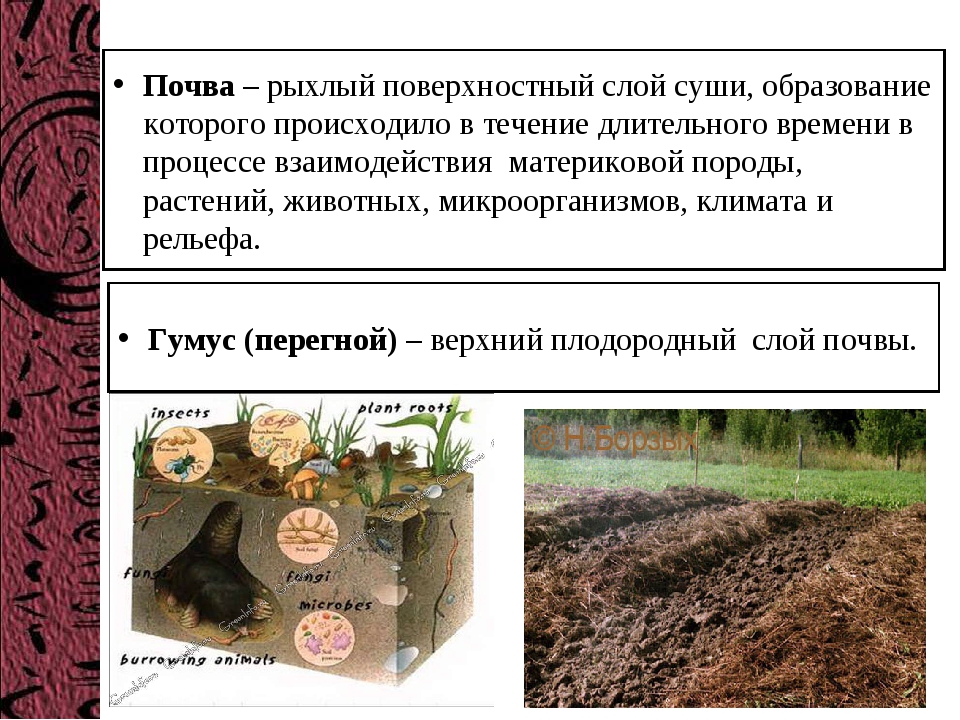 Почва особое. Почва это рыхлый поверхностный слой суши. Поверхностный слой почвы. Рыхлая почва. Почва – _________ слой суши..