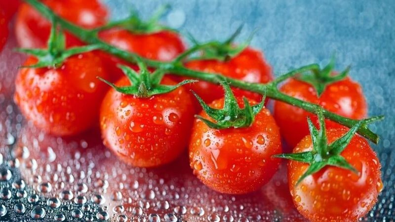 Как правильно поливать томаты в различные периоды развития 