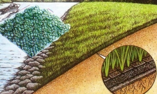 Укрепление берегов пруда: способы укрепления водоема в саду