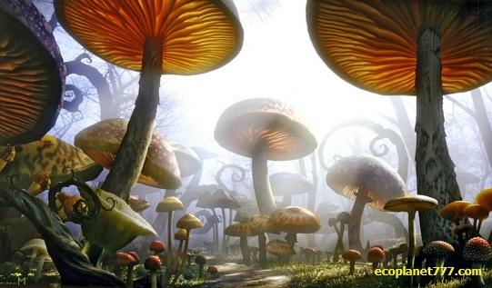 В воздухе летают миллиарды спор грибов