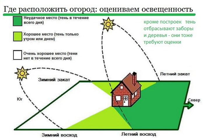 огород для новичков с чего начать