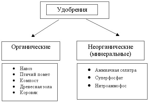 Виды удобрений