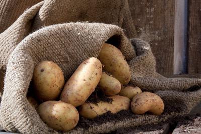 Как хранить картофель в погребе 