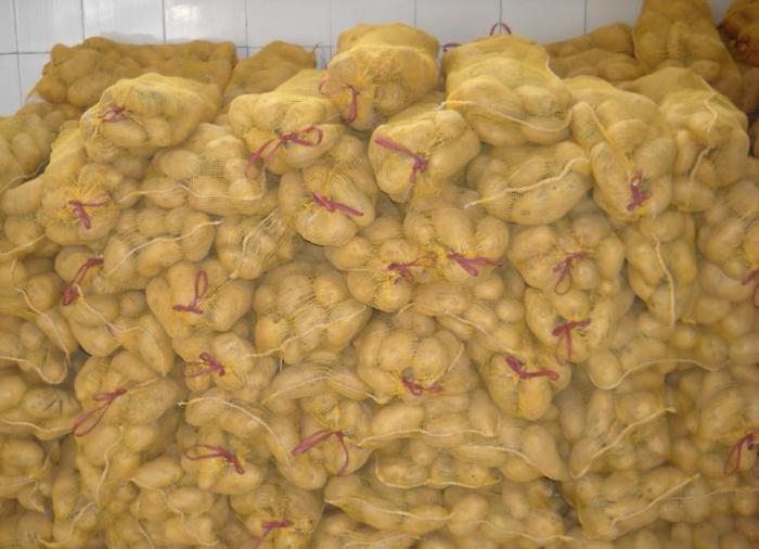 Как хранить картофель в погребе в сетках 
