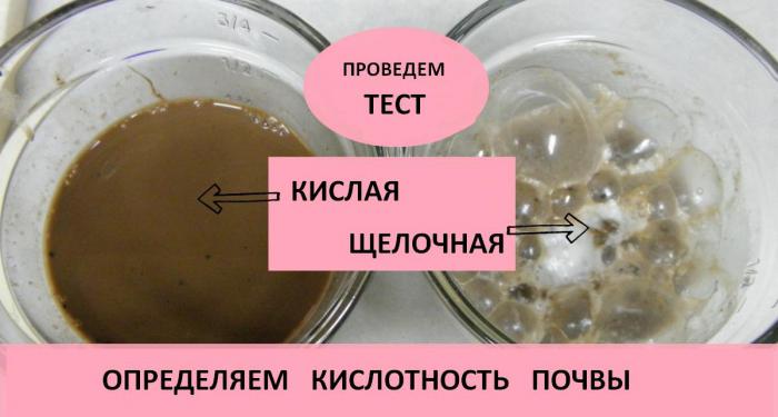 раскисление почвы весной доломитовой мукой