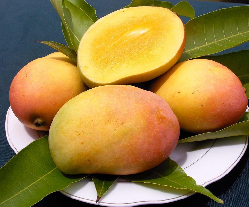 Ароматные плоды манго