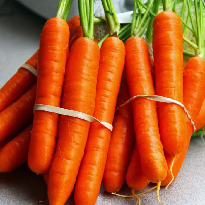 как часто поливать морковь после посадки