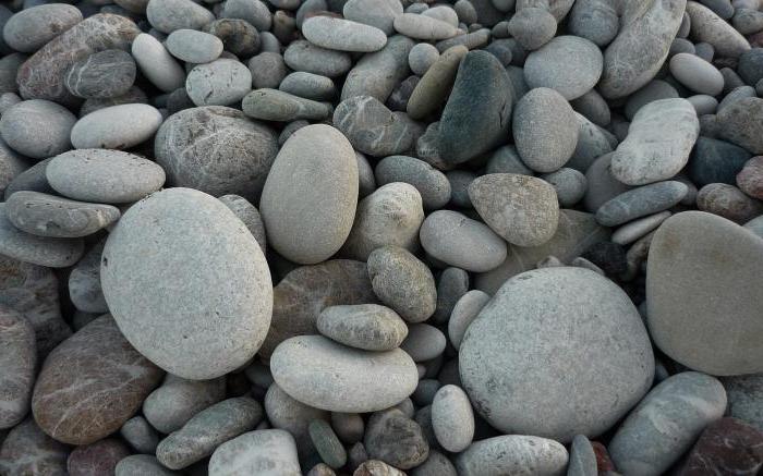 виды морских камней