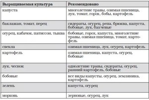 Как правильно сажать культуры по очереди