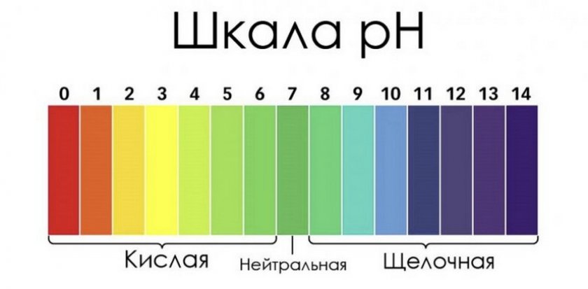 Шкала кислотности