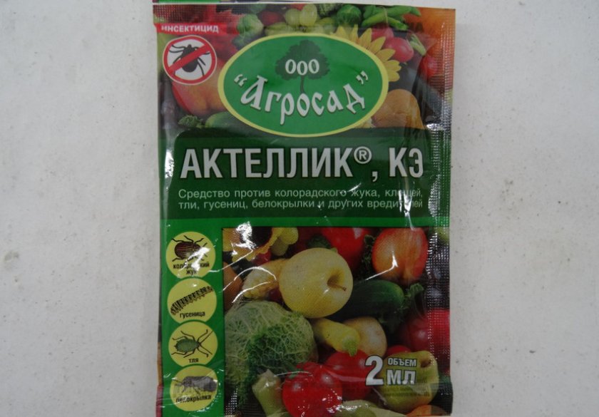 Актеллик