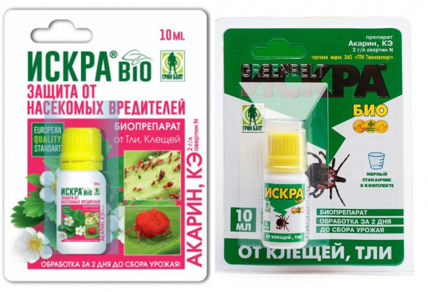 Искра BIO