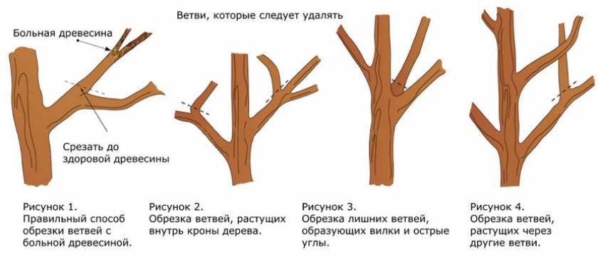 Обрезка