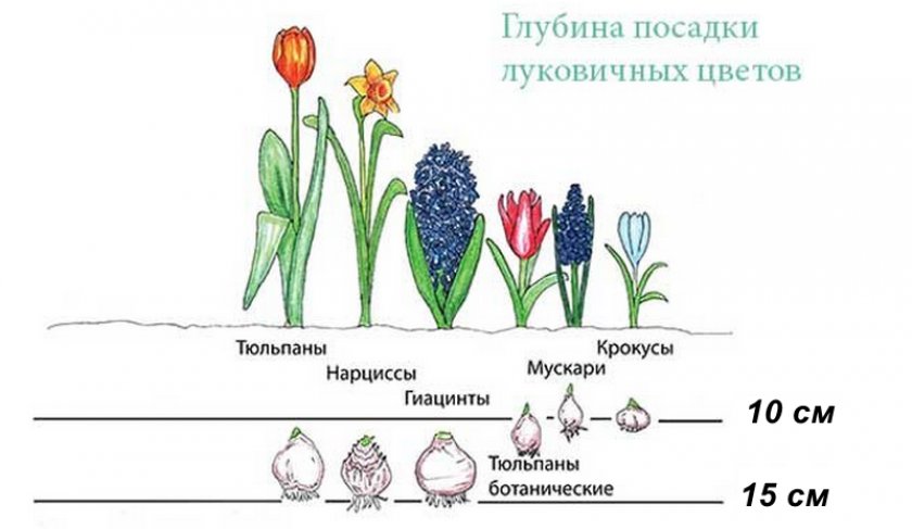 Глубина посадки