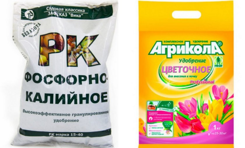 Удобрения для крокусов