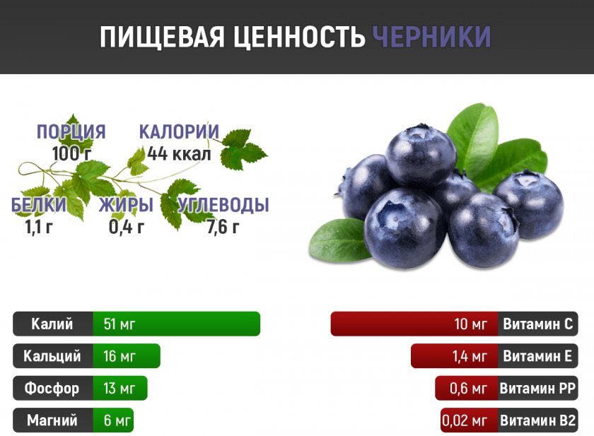 Пищевая ценность черники