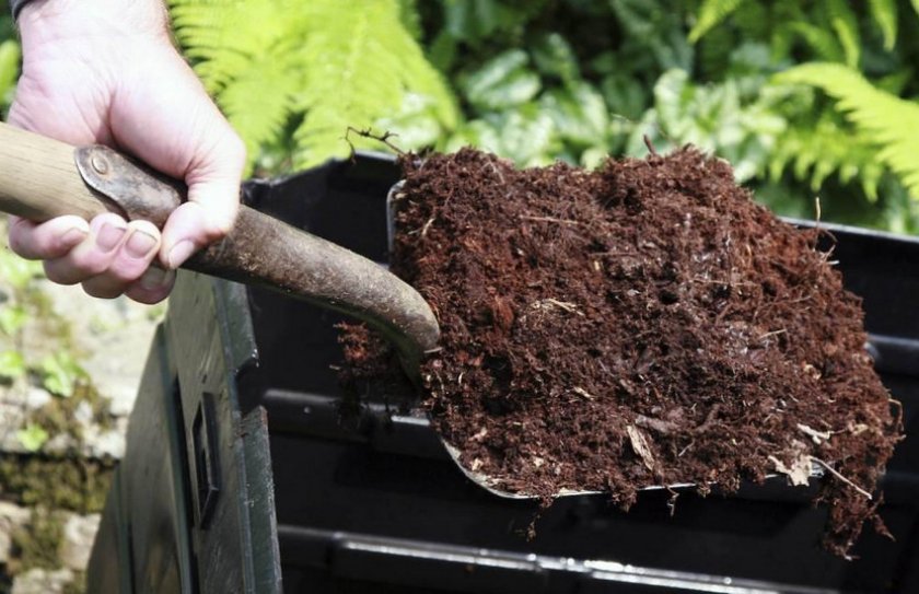 Повышение плодородности почвы с помощью компоста
