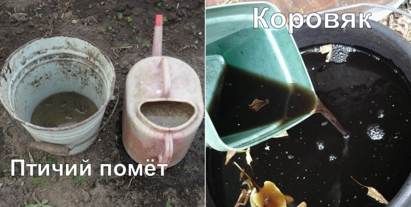 Жидкие органические удобрения