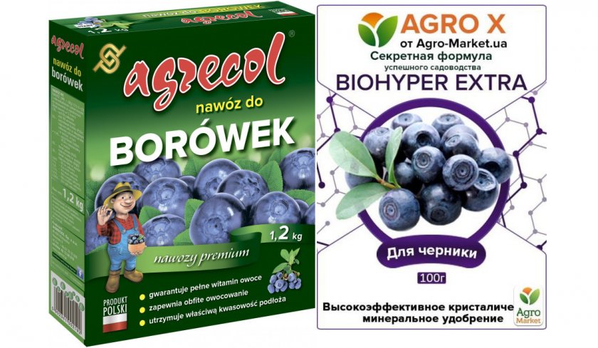 Удобрения для черники