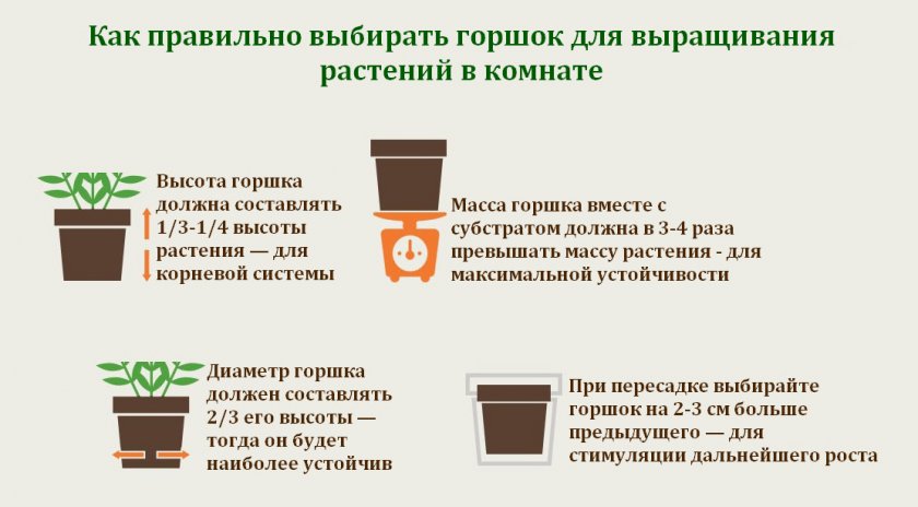 Как выбирать горшок