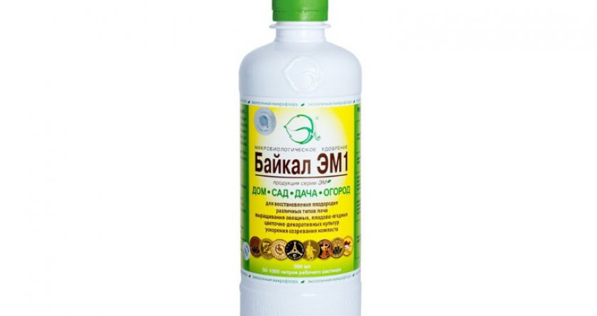 Байкал ЭМ-1