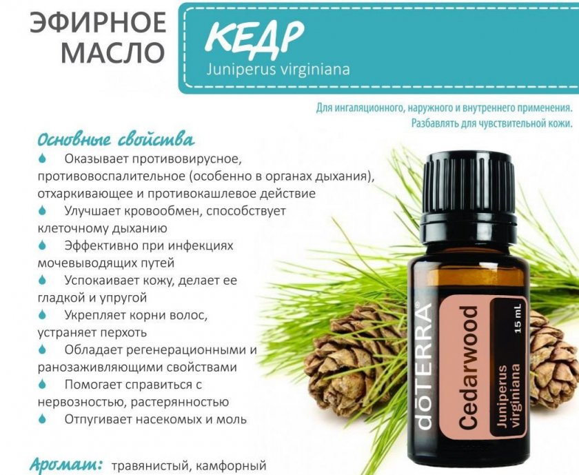 Полезные свойства эфирного масла кедра