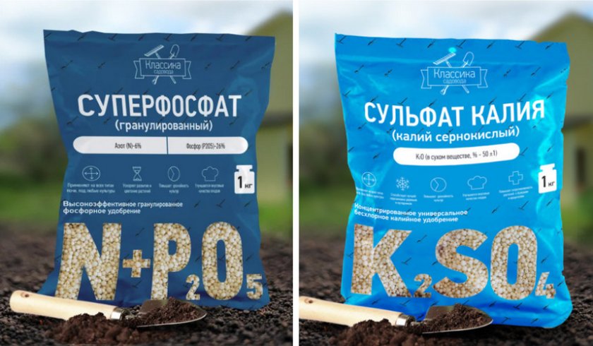 Подкормки для можжевельника