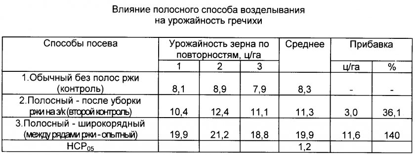 Урожайность гречихи