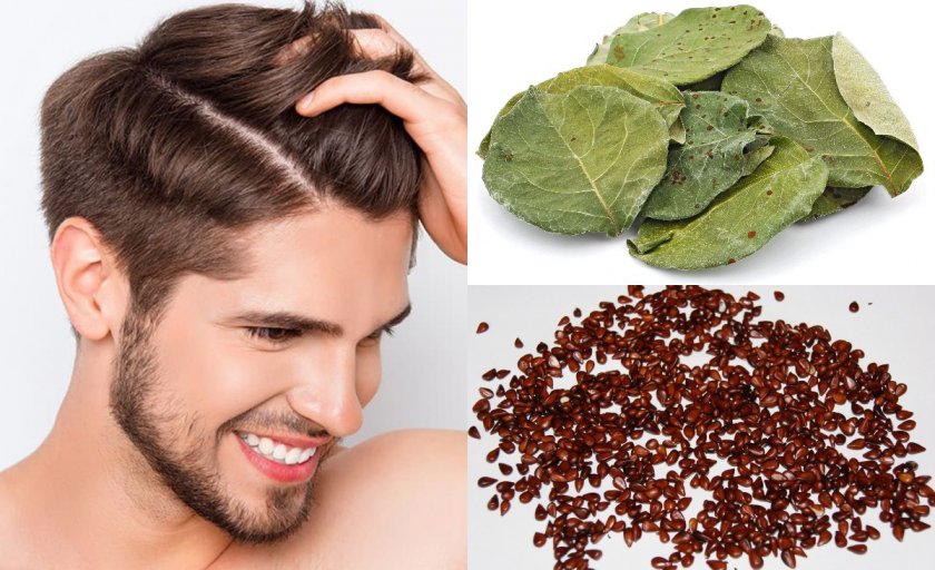 Семена и листья айвы для здоровья волос